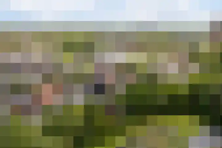 Lege Hearewei 9 Stiens thumbnail 58