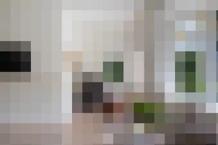 Lege Hearewei 9 Stiens thumbnail 7