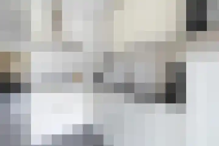 Lege Kamp 26 Ureterp thumbnail 12