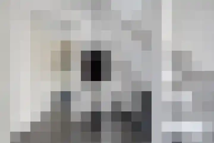 Lege Kamp 26 Ureterp thumbnail 16