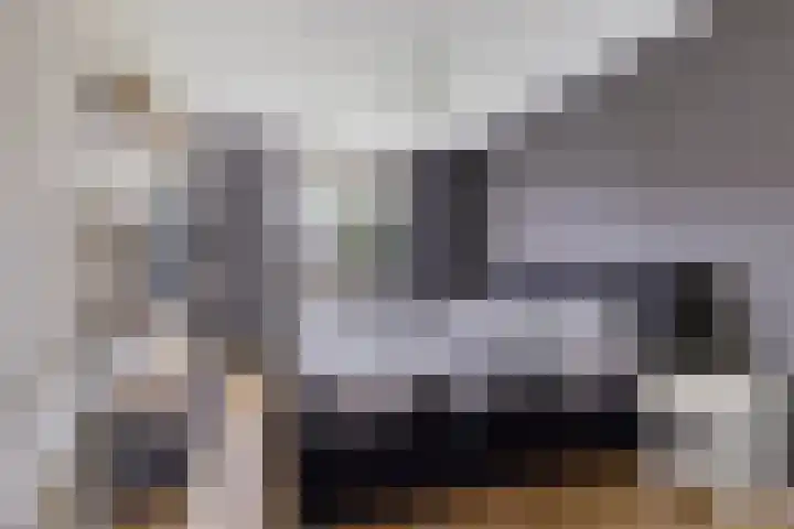 Lege Kamp 26 Ureterp thumbnail 18