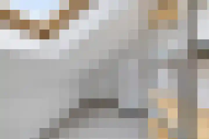 Lege Kamp 26 Ureterp thumbnail 28