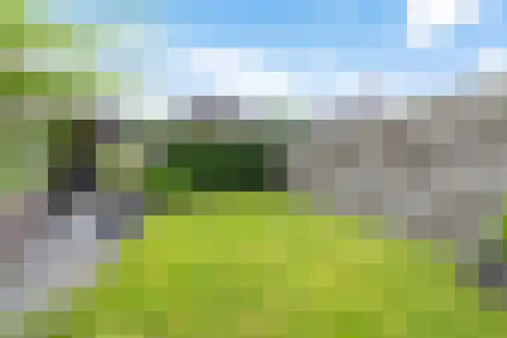 Lege Kamp 26 Ureterp thumbnail 32
