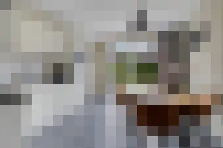 Lege Kamp 26 Ureterp thumbnail 4