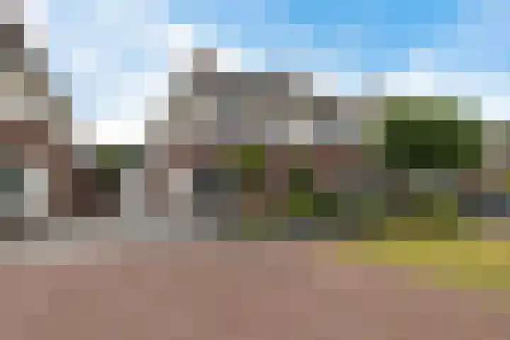 Lege Kamp 26 Ureterp thumbnail 44