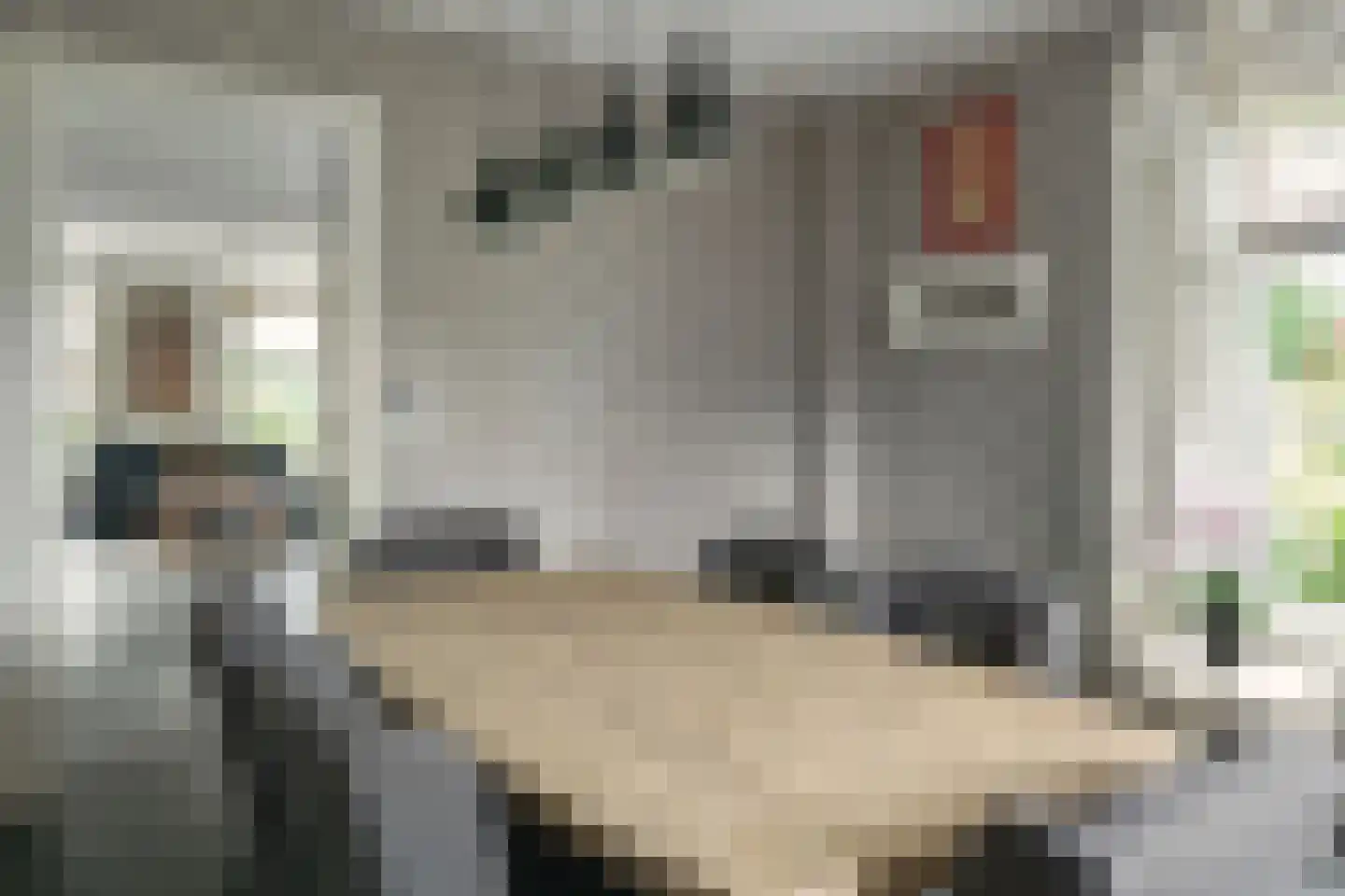 Lege Kamp 44 Ureterp thumbnail 12