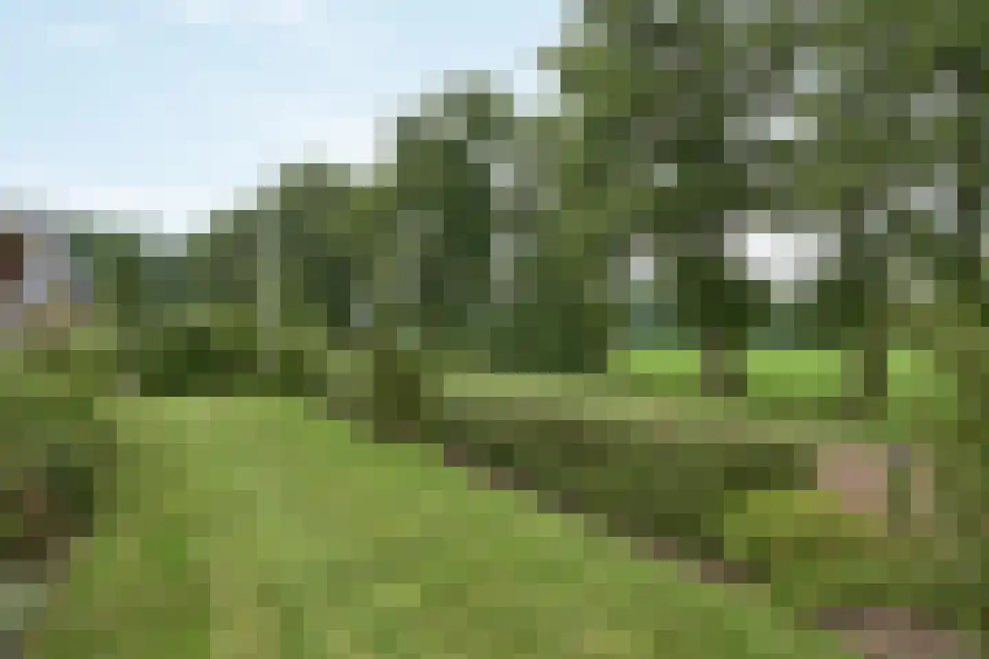 Lege Kamp 44 Ureterp thumbnail 33