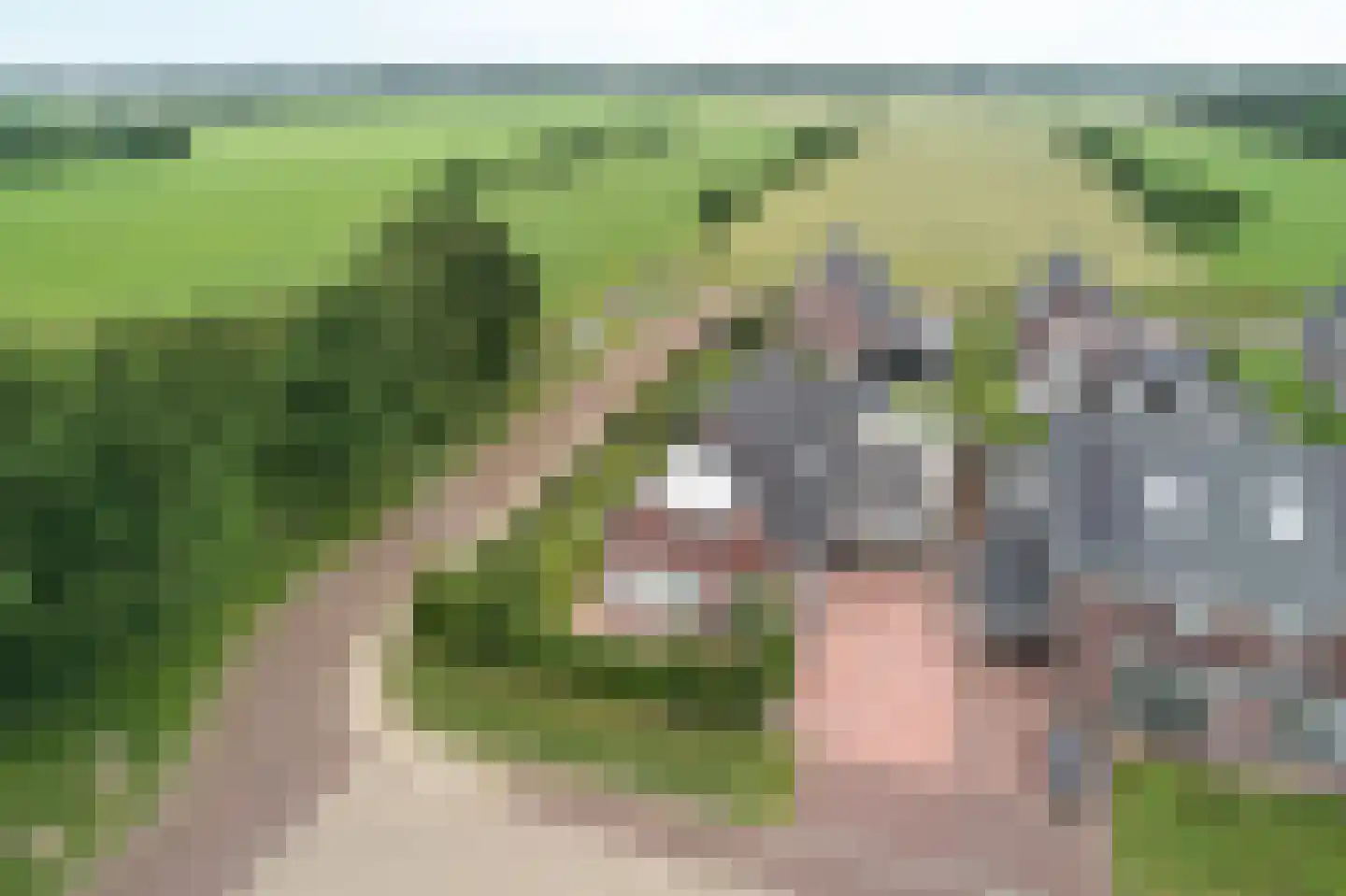 Lege Kamp 44 Ureterp thumbnail 39
