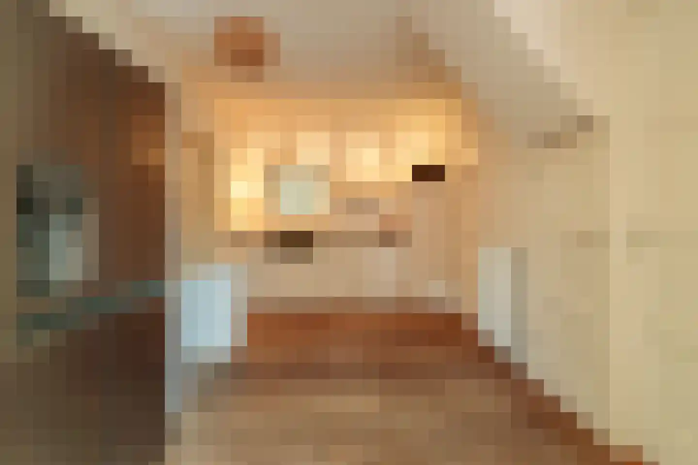 Lege Leane 1 Oudemirdum thumbnail 12