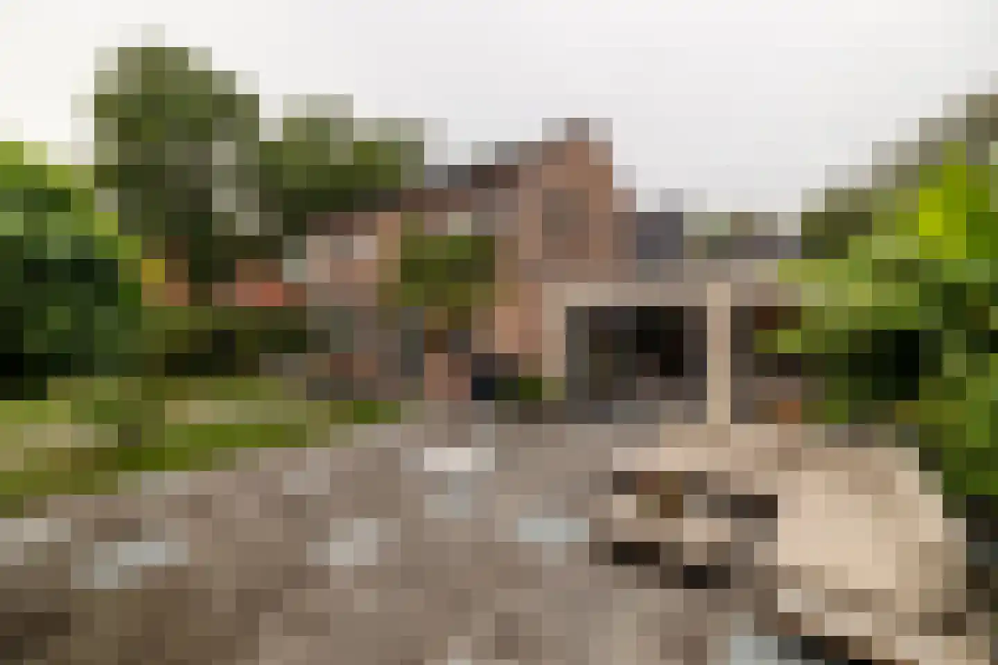 Lege Leane 1 Oudemirdum foto 2