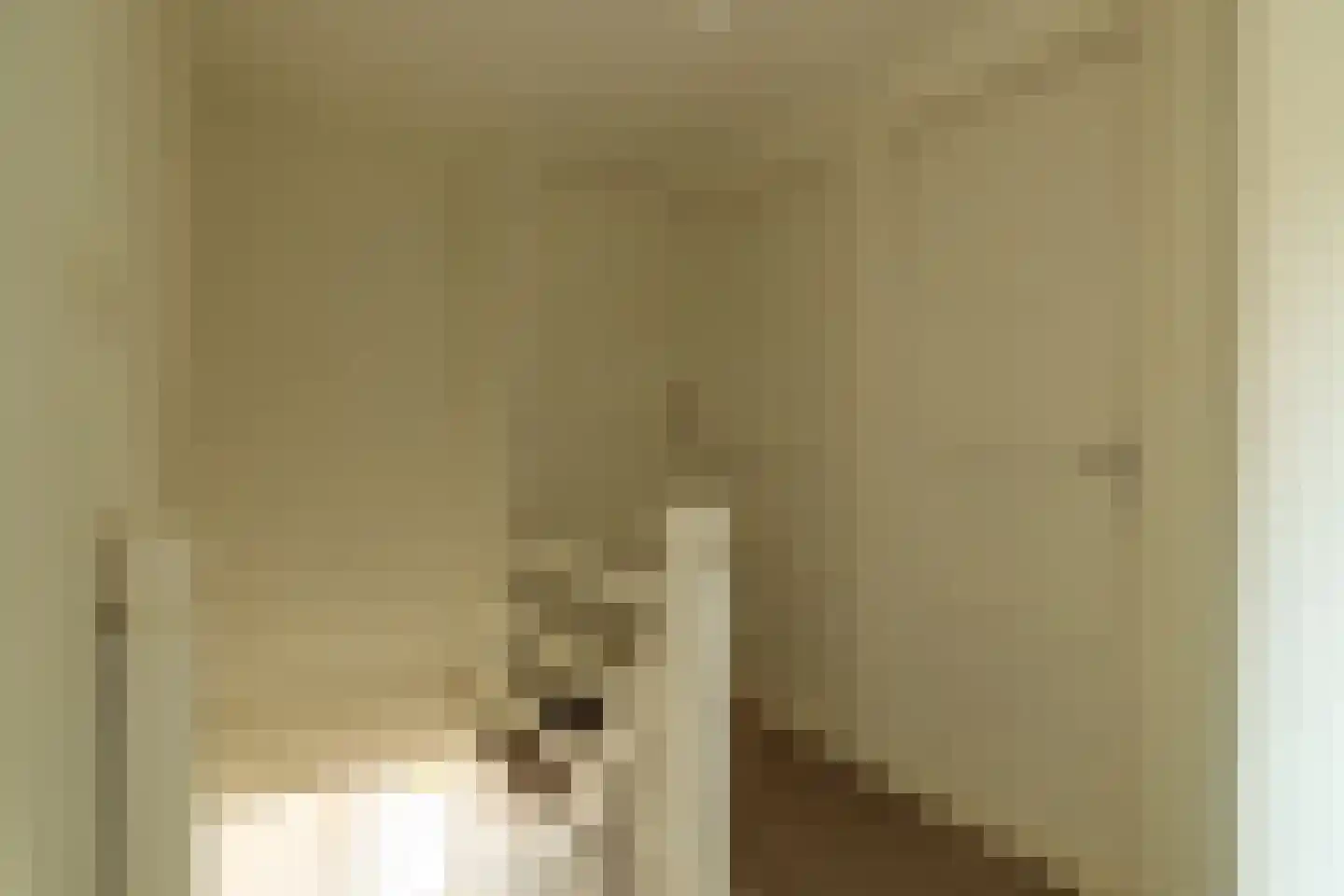 Lege Leane 1 Oudemirdum thumbnail 20