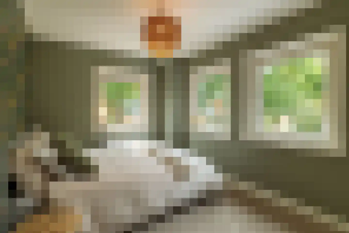 Lege Leane 1 Oudemirdum thumbnail 21