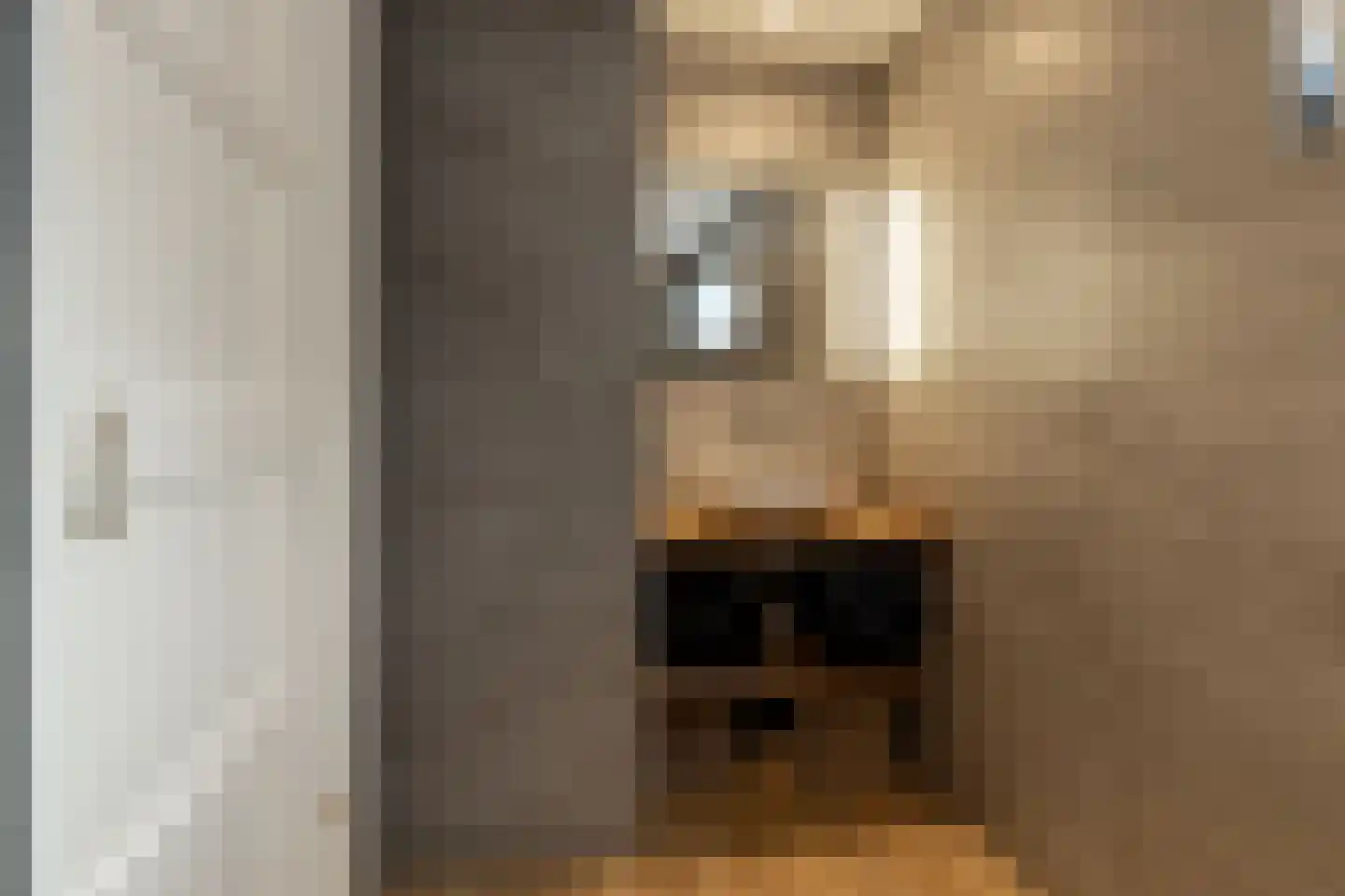 Lege Leane 1 Oudemirdum thumbnail 28
