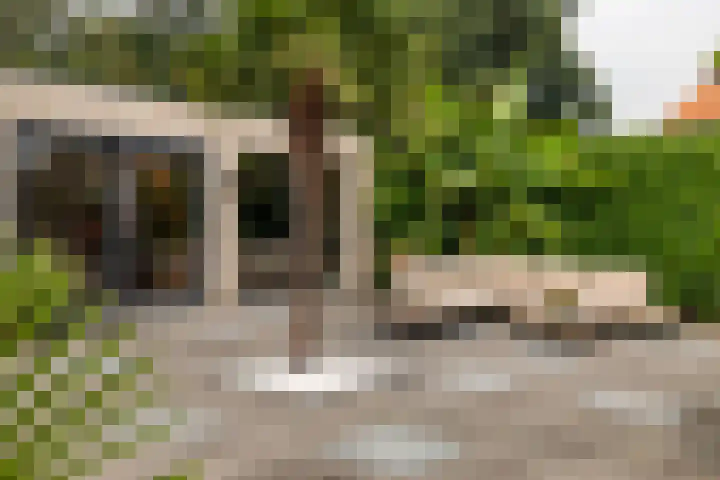 Lege Leane 1 Oudemirdum thumbnail 29