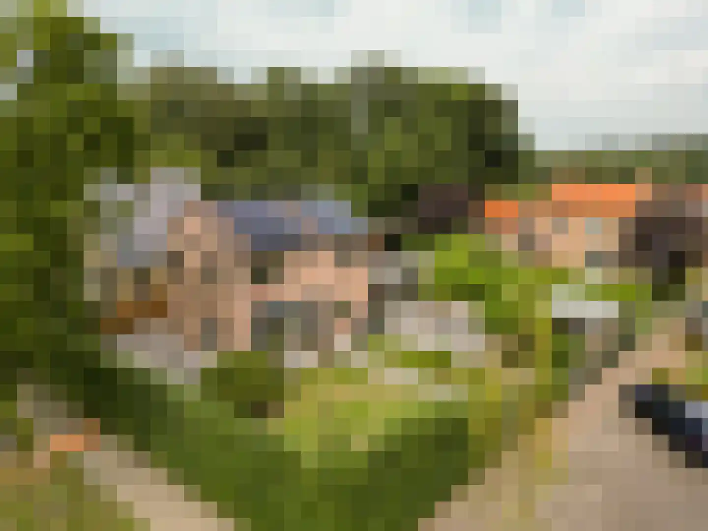 Lege Leane 1 Oudemirdum foto 3