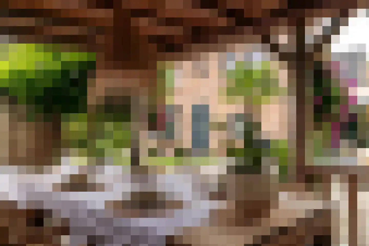 Lege Leane 1 Oudemirdum thumbnail 30