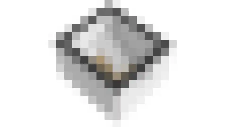 Lege Leane 1 Oudemirdum thumbnail 38