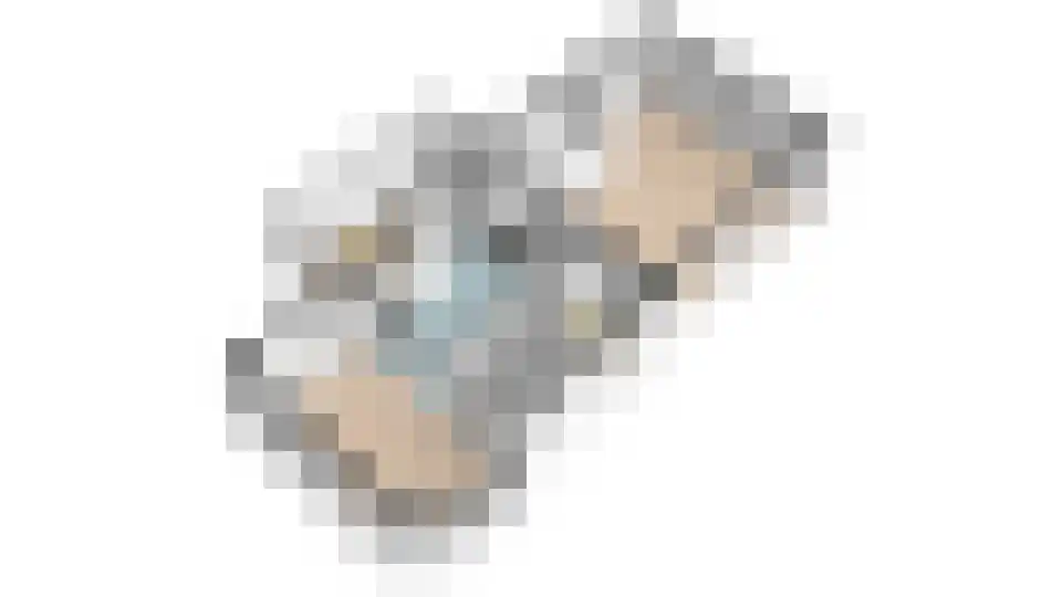 Lege Leane 1 Oudemirdum thumbnail 39