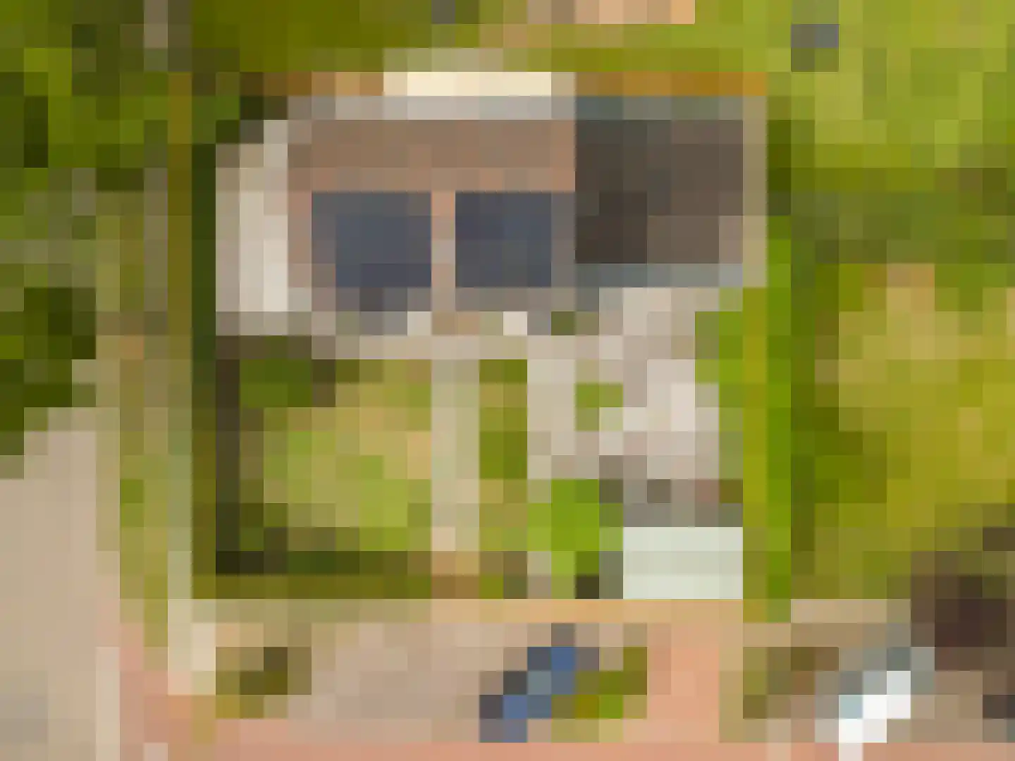 Lege Leane 1 Oudemirdum thumbnail 4