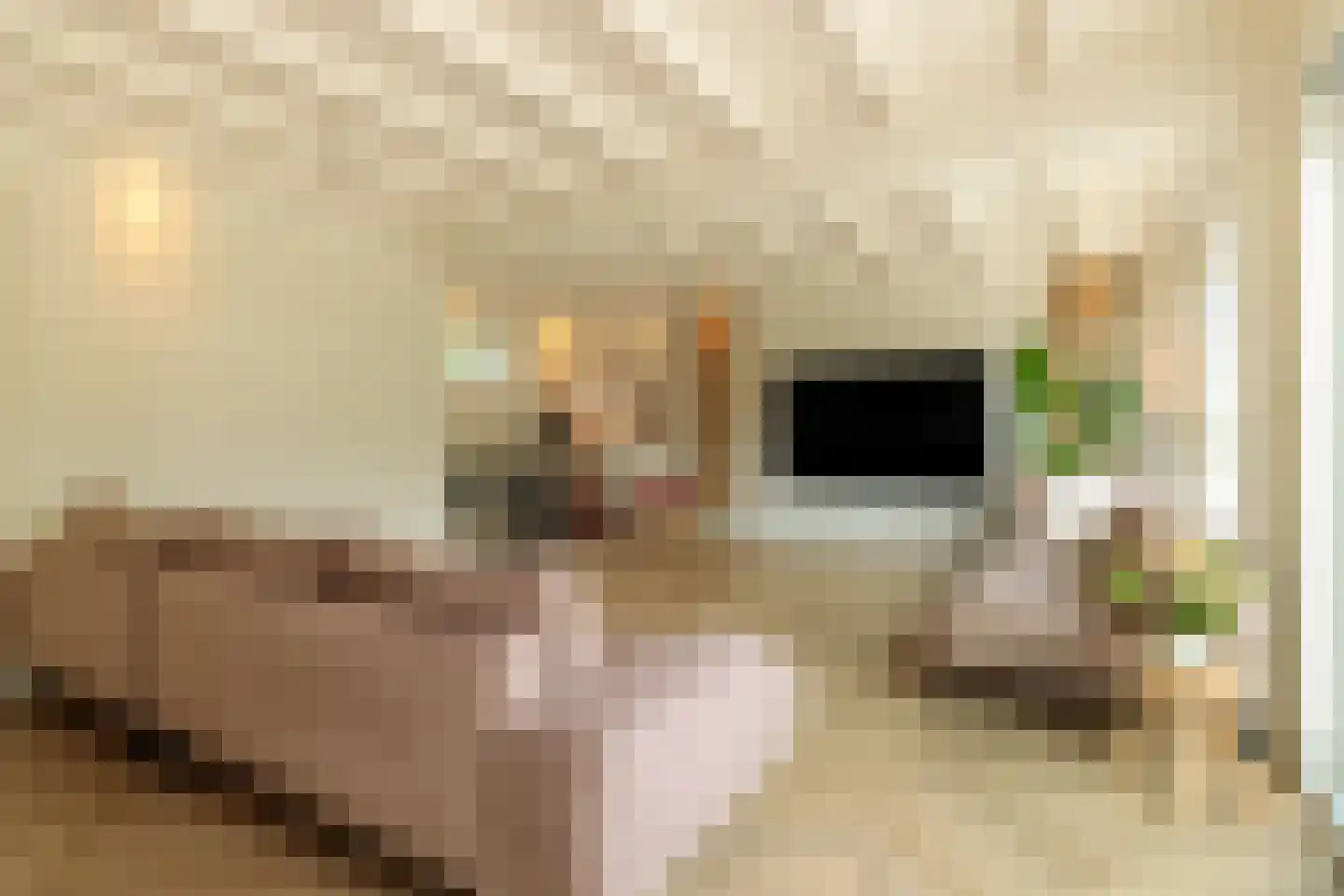 Lege Leane 1 Oudemirdum thumbnail 7
