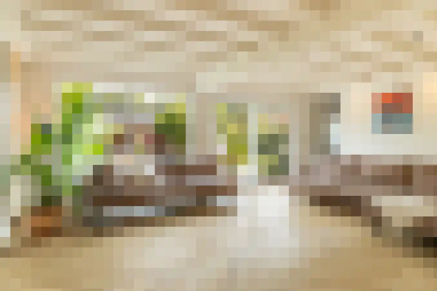 Lege Leane 1 Oudemirdum thumbnail 8