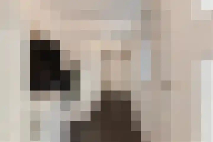 Lege Leane 10 Oudemirdum thumbnail 14