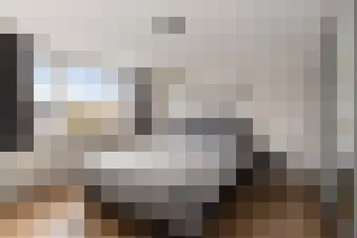 Lege Leane 10 Oudemirdum thumbnail 17