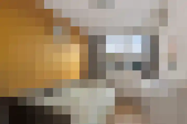 Lege Leane 10 Oudemirdum thumbnail 21
