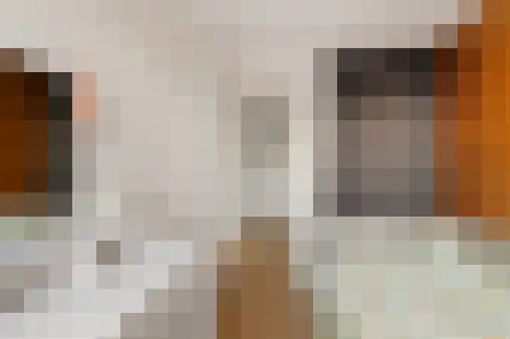 Lege Leane 10 Oudemirdum thumbnail 22