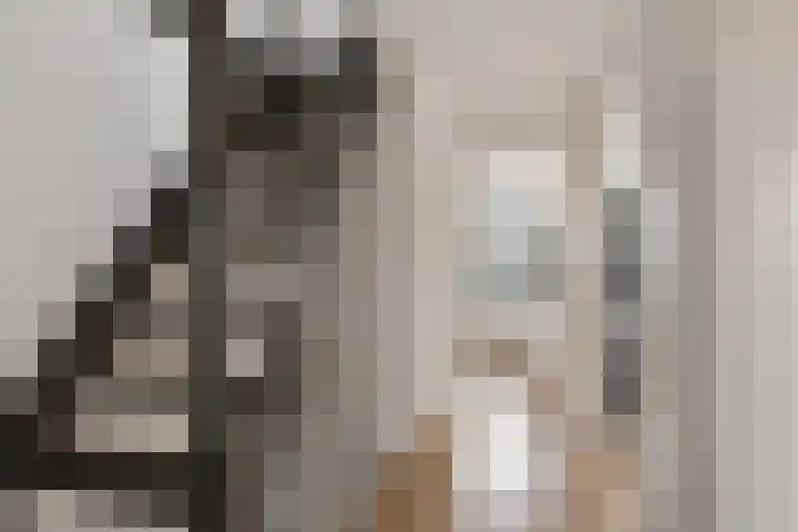 Lege Leane 10 Oudemirdum thumbnail 27