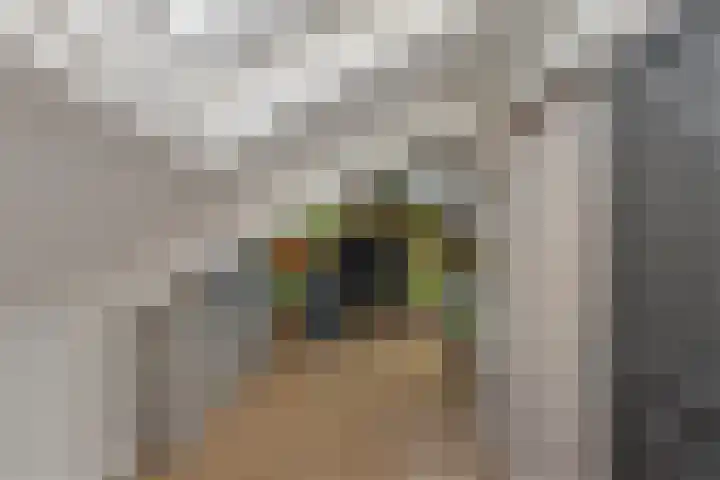 Lege Leane 10 Oudemirdum thumbnail 28