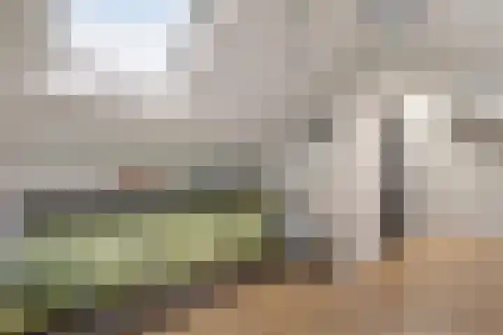 Lege Leane 10 Oudemirdum thumbnail 29