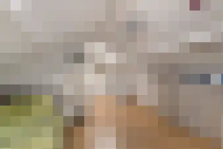 Lege Leane 10 Oudemirdum thumbnail 30