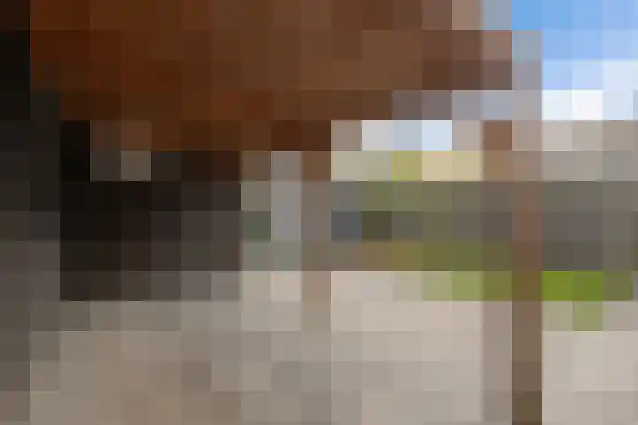 Lege Leane 10 Oudemirdum thumbnail 31