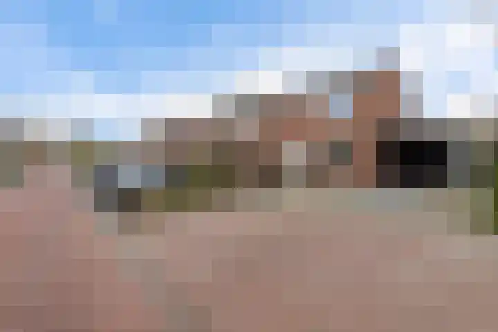Lege Leane 10 Oudemirdum thumbnail 40