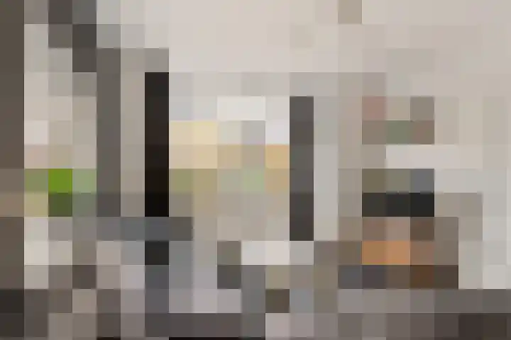Lege Leane 10 Oudemirdum thumbnail 5