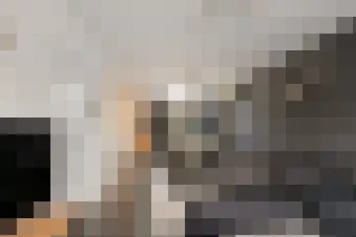 Lege Leane 10 Oudemirdum thumbnail 6
