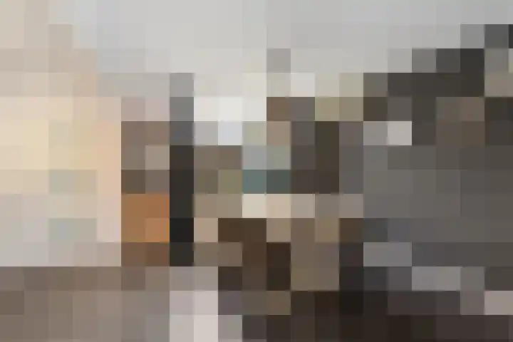 Lege Leane 10 Oudemirdum thumbnail 7