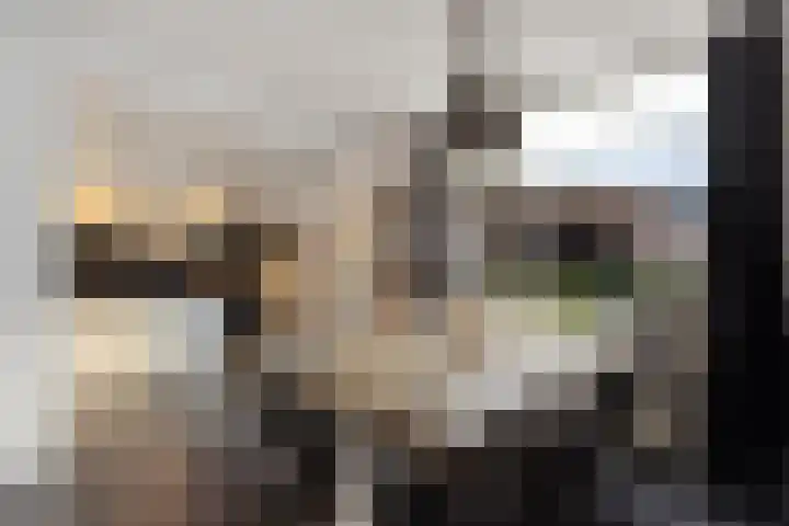 Lege Leane 10 Oudemirdum thumbnail 8