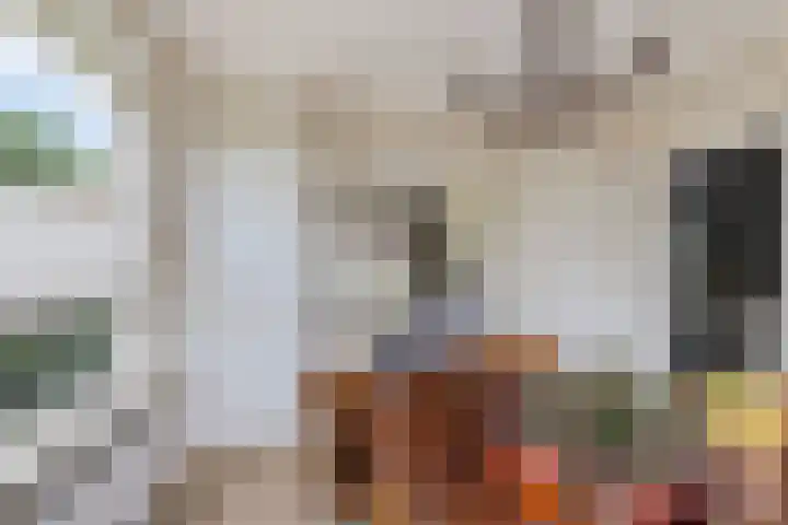 Lege Leane 6 Oudemirdum thumbnail 10