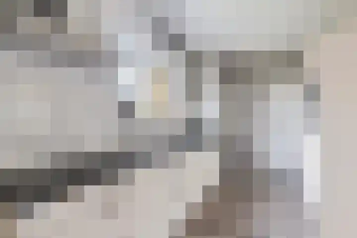Lege Leane 6 Oudemirdum thumbnail 12