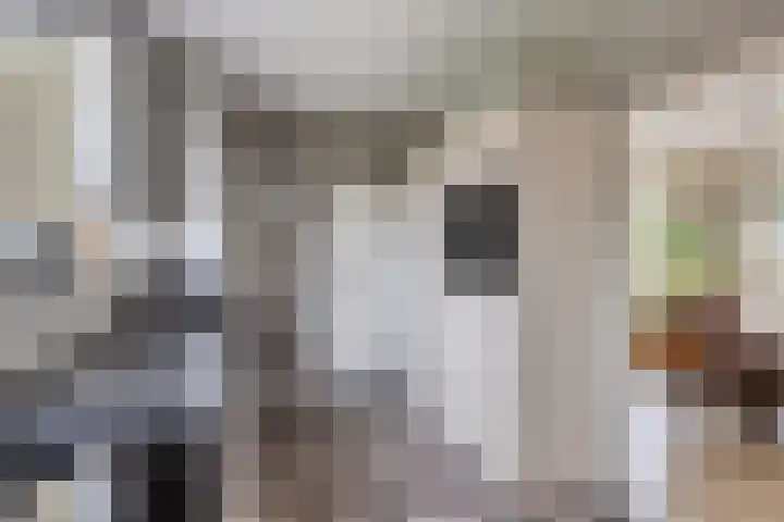 Lege Leane 6 Oudemirdum thumbnail 15