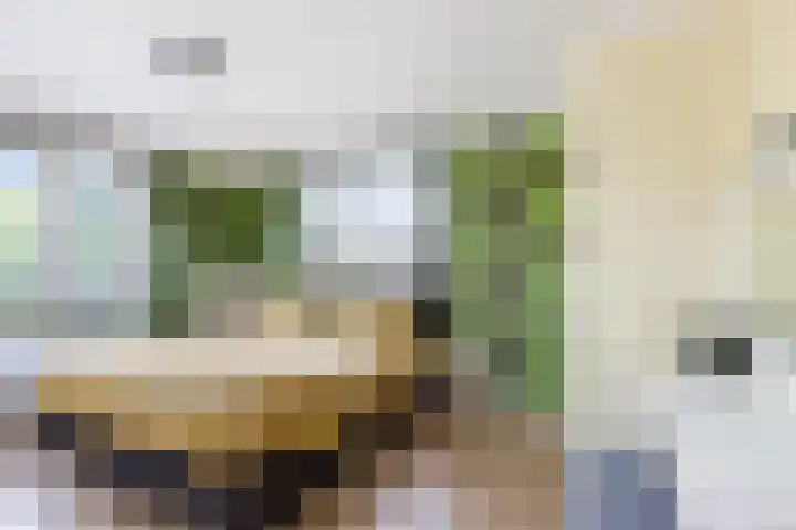 Lege Leane 6 Oudemirdum thumbnail 24