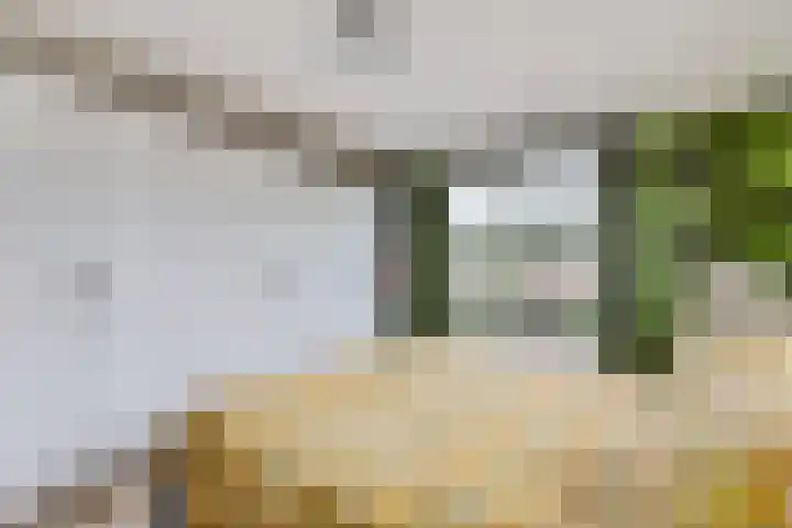 Lege Leane 6 Oudemirdum thumbnail 25