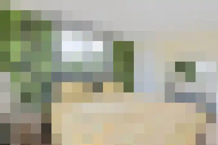 Lege Leane 6 Oudemirdum thumbnail 26