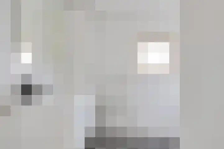 Lege Leane 6 Oudemirdum thumbnail 30