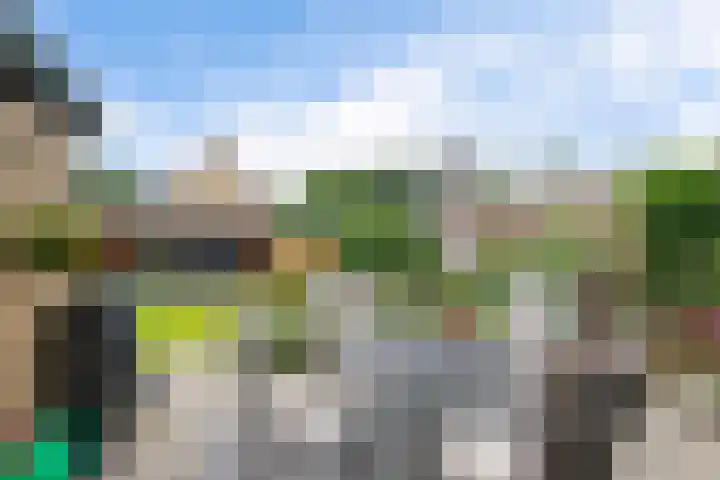 Lege Leane 6 Oudemirdum thumbnail 34