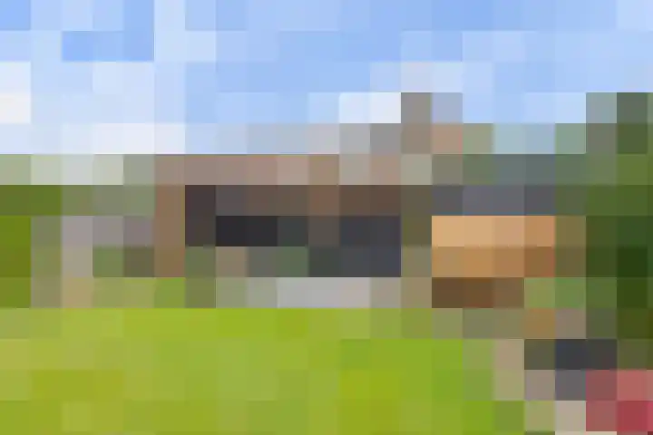 Lege Leane 6 Oudemirdum thumbnail 35