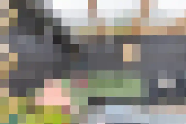 Lege Leane 6 Oudemirdum thumbnail 36