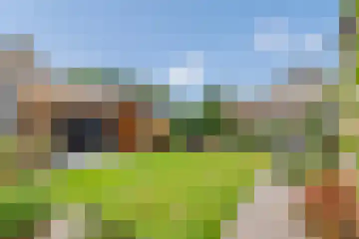 Lege Leane 6 Oudemirdum thumbnail 37